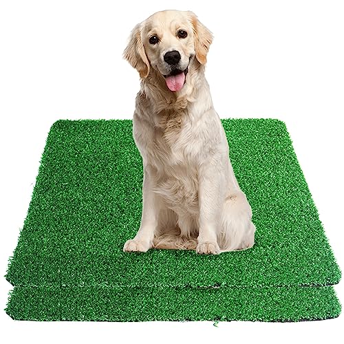 GIBZ Kunstrasen Hundeklo Gras Teppich für Hunde Waschbar Welpen Trainings Hundetoilette mit Drainageloch 2 Stücke, L, 51.5×40cm von GIBZ