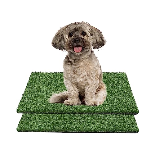 GIBZ Kunstrasen Hundeklo Gras Teppich für Hunde Waschbar Welpen Trainings Hundetoilette mit Drainageloch 2 Stücke, S, 30×30cm GIBZ Kunstrasen Hundeklo Gras Teppich für Hunde Waschbar Welpen Trainings Hundetoilette mit Drainageloch 2 Stücke, S, 30×30cm von GIBZ