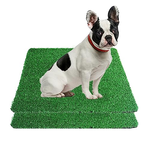 GIBZ Kunstrasen Hundeklo Gras Teppich für Hunde Waschbar Welpen Trainings Hundetoilette mit Drainageloch 2 Stücke, S, 30×30cm von GIBZ