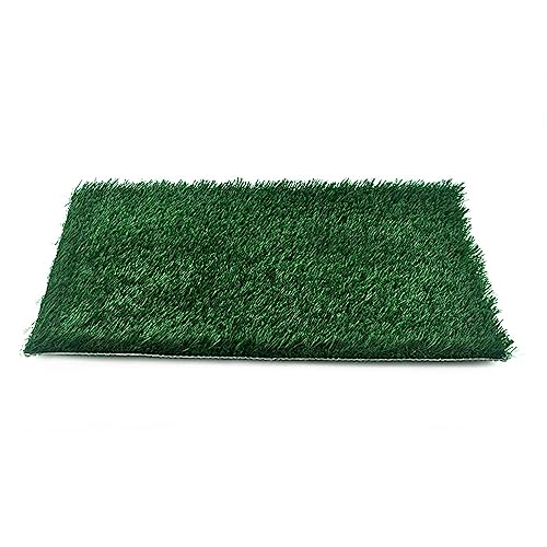 GIBZ Kunstrasen Hundeklo Teppich Waschbar Welpen Trainings Töpfchen Gras Hundetoilette für Indoor und Outdoor, 80×100cm GIBZ Kunstrasen Hundeklo Teppich Waschbar Welpen Trainings Töpfchen Gras Hundetoilette für Indoor und Outdoor, 80×100cm von GIBZ
