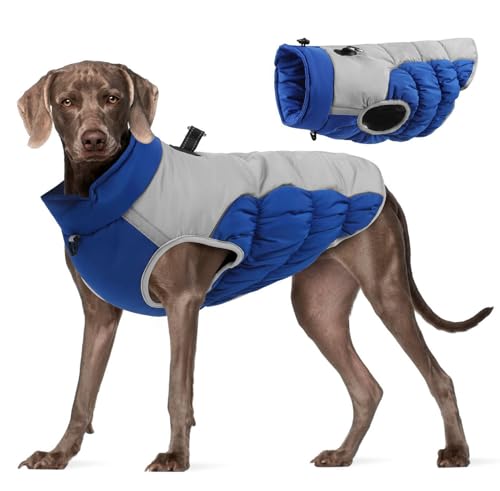 GIBZ Warme Hundemantel, Verstellbare Wasserdicht Hundejacke mit D-Ring, Reflektierende Winter Weste Kleidung für Große Hunde, Blau, 4XL GIBZ Warme Hundemantel, Verstellbare Wasserdicht Hundejacke mit D-Ring, Reflektierende Winter Weste Kleidung für Große Hunde, Blau, 4XL von GIBZ