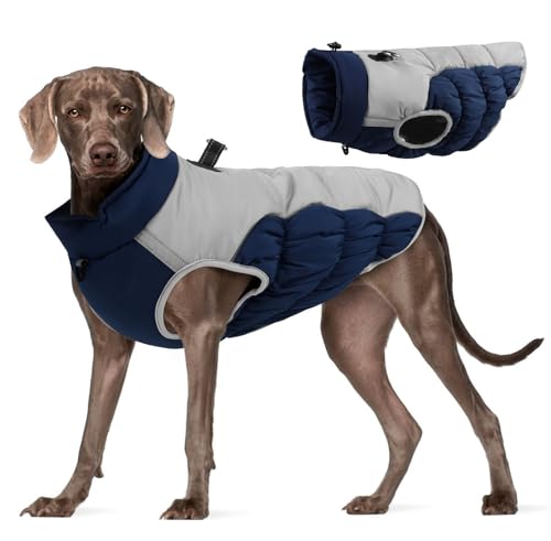 GIBZ Warme Hundemantel, Verstellbare Wasserdicht Hundejacke mit D-Ring, Reflektierende Winter Weste Kleidung für Große Hunde, Marineblau, 5XL GIBZ Warme Hundemantel, Verstellbare Wasserdicht Hundejacke mit D-Ring, Reflektierende Winter Weste Kleidung für Große Hunde, Marineblau, 5XL von GIBZ
