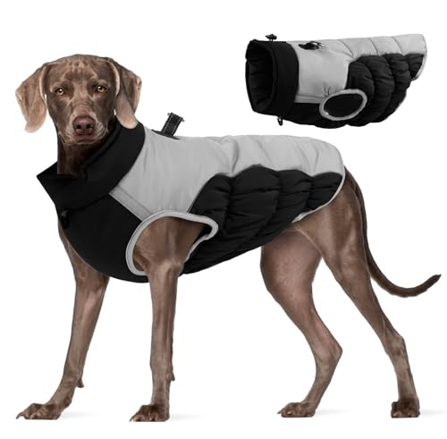 GIBZ Warme Hundemantel, Verstellbare Wasserdicht Hundejacke mit D-Ring, Reflektierende Winter Weste Kleidung für Große Hunde, Schwarz, 4XL GIBZ Warme Hundemantel, Verstellbare Wasserdicht Hundejacke mit D-Ring, Reflektierende Winter Weste Kleidung für Große Hunde, Schwarz, 4XL von GIBZ