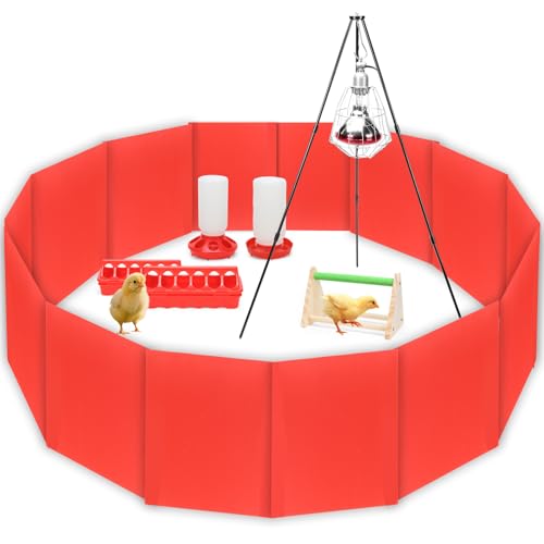 Kükenbrutbox, Küken-Starter-Set für Kükenbrüter mit Wärmelampe, Kükenstange, Flip-Top-Geflügel-Futterstation, Baby-Hühnerzubehör für Ente und Wachteln Kükenbrutbox, Küken-Starter-Set für Kükenbrüter mit Wärmelampe, Kükenstange, Flip-Top-Geflügel-Futterstation, Baby-Hühnerzubehör für Ente und Wachteln von GIFANK