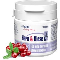 GIGI VET Harn & Blase 14x20 g von GIGI VET