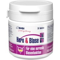 GIGI VET Harn & Blase 28x8 g GIGI VET Harn & Blase 28x8 g von GIGI VET
