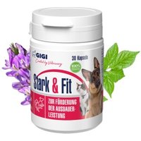 GIGI VET Stark & Fit 30x22 g von GIGI VET