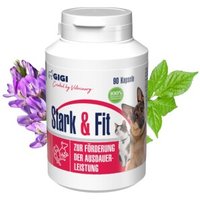 GIGI VET Stark & Fit 90x65 g von GIGI VET