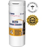 GIGI VET Welpen Wachstum & Entwicklung 220x350 g von GIGI VET