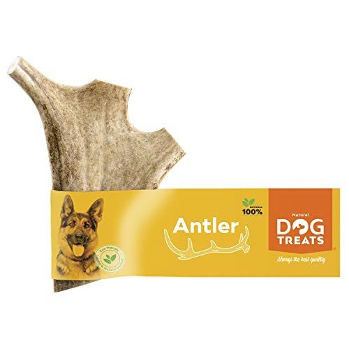 Natural Dog Treats - Damhirschgeweih für Hunde - Kauknochen Hund - Geweih für Hunde - Kaustangen Hund - Hirschgeweih für Hunde - Hundespielzeug - Mittlere Größe (76-100g) von GIGIL treat your pet like a king