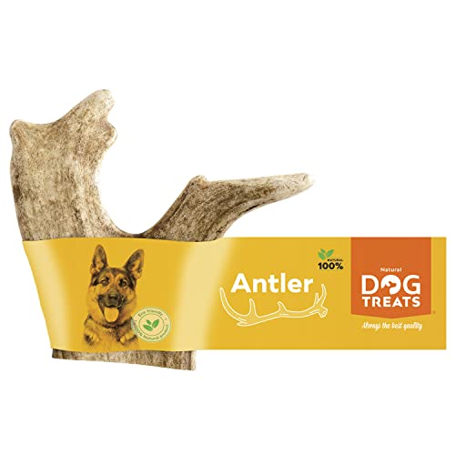 Natural Dog Treats - Damhirschgeweih für Hunde - Natürlich Kauknochen Hund - Geweih für Große Hunde - Kaustangen Hund - Kauspielzeug und Zahnpflege - Hundespielzeug - Große Größe (101-150g) von GIGIL treat your pet like a king