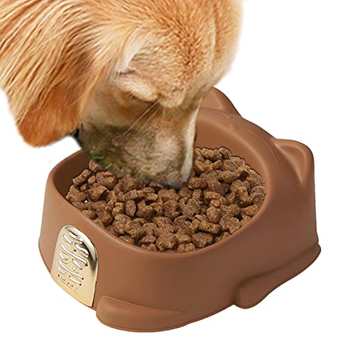 Futternapf für Hunde – Futternapf in Glückskatzenform – Futterbehälter für Welpen und Hasen, orthopädische Kätzchenschalen für drinnen Haustier Gimocool von GIMOCOOL