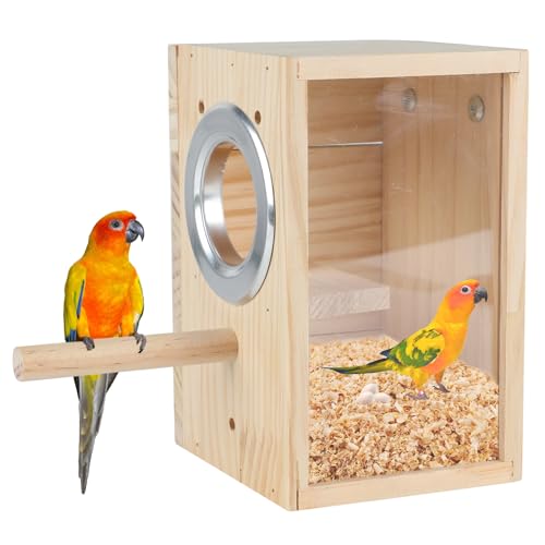 GINDOOR Sittich Nistkasten Transparent Design, Natur Holz Vogelnest Brutkasten mit Sitzstange, Acryl Vogelhaus für Käfig Vogel Nistkasten für Kleine Nymphensittiche Lovebirds Finken Papagei GINDOOR Sittich Nistkasten Transparent Design, Natur Holz Vogelnest Brutkasten mit Sitzstange, Acryl Vogelhaus für Käfig Vogel Nistkasten für Kleine Nymphensittiche Lovebirds Finken Papagei von GINDOOR