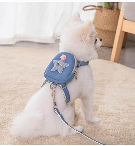 Hundeleine aus Seil mit weich gepolstertem Griff, 1,2 m lange Nylon, langlebige Hundeleine mit Reißverschluss, Sicherheits-Bergsteigen-Seil, gedrehte Hundeleine für kleine, mittelgroße Hunde (blau, S) Hundeleine aus Seil mit weich gepolstertem Griff, 1,2 m lange Nylon, langlebige Hundeleine mit Reißverschluss, Sicherheits-Bergsteigen-Seil, gedrehte Hundeleine für kleine, mittelgroße Hunde (blau, S) von GINGER TECH