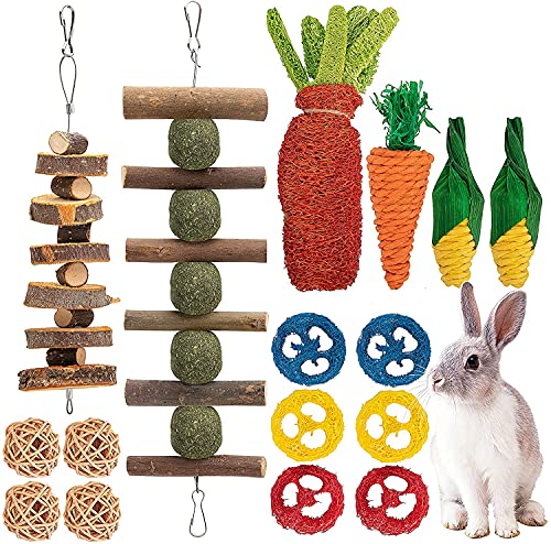 GIONAR 16 Stück Kaninchen Spielzeug Zubehoer Kleintier Spielzeug zum und um Langeweile zu Vertreiben Knabbern Nager Zubehör für den Käfig Kleiner Haustiere Hamster von GIONAR