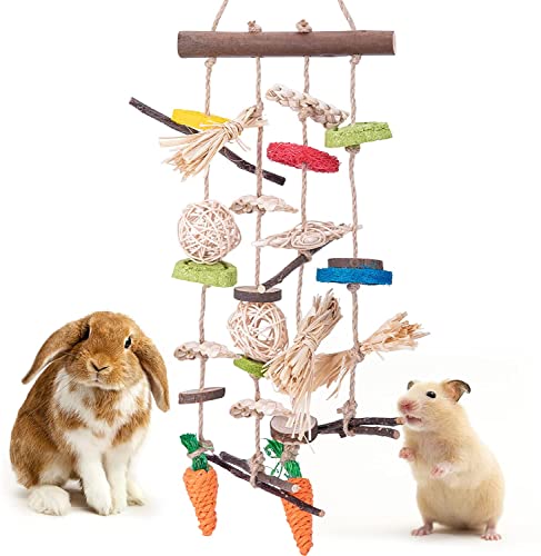 GIONAR Kaninchen Spielzeug Natürliches Applewood Bunny Kauspielzeug, Kaninchenkäfig Hängespielzeug mit Grasball Karottenspielzeug für Kaninchen, Chinchilla, Meerschweinchen, Hamster, Zähneknirschen von GIONAR