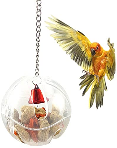 GIVBRO Vogelfutter Futtersuche Ball Spielzeug für Papageien, Wellensittiche, Sittiche, Nymphensittiche, Kakadu, Aras, Finken, Kanarienvögel von GIVBRO