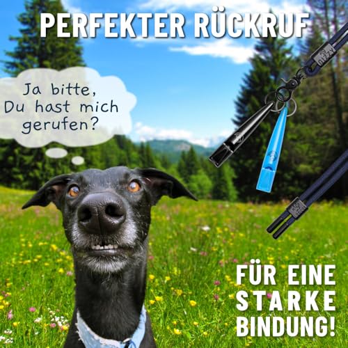 GIZZY® 2X Hundepfeife lauter & weitreichender Pfeifton I 2X Hundepfeifen ideal als Erziehungshilfen für Hunde I Zum Hundetraining Bellen o. als Hundepfeife Rückruf geeignet I Inkl. wertigem Band von GIZZY