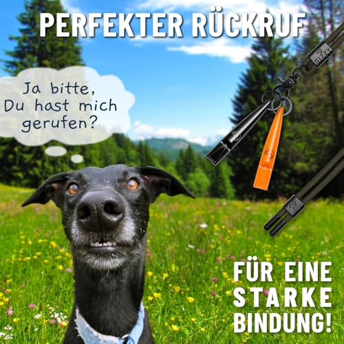 GIZZY® - NEU - Hundepfeife - sehr zuverlässiger - lauter & weitreichender Pfeifton für effektives Hundetraining und erfolgreiche Hundeerziehung - (2 Pfeifen, 1 Band - orange/schwarz) von GIZZY