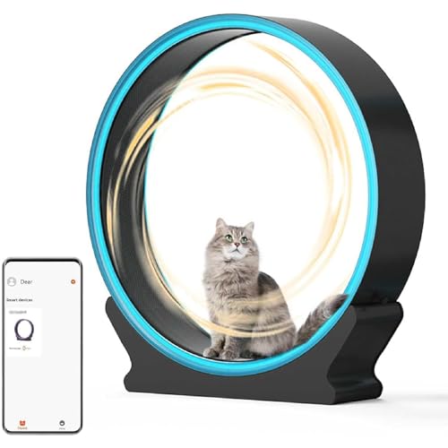 Cat Wheel Exerciser, 40" großes Katzenlaufrad für den Innenbereich, extrem leises Katzenlaufband mit Telefon-App-Daten, Lichtstreifen, für EIN längeres Leben der Katze von GKPLY