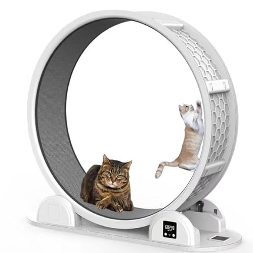 Katzen-Übungsrad, großes Katzenlaufband für den Innenbereich, Katzenlaufrad mit Bremssperre, Solarzähler, zum Laufen/Gehen/Training, geeignet für die meisten Katzen von GKPLY