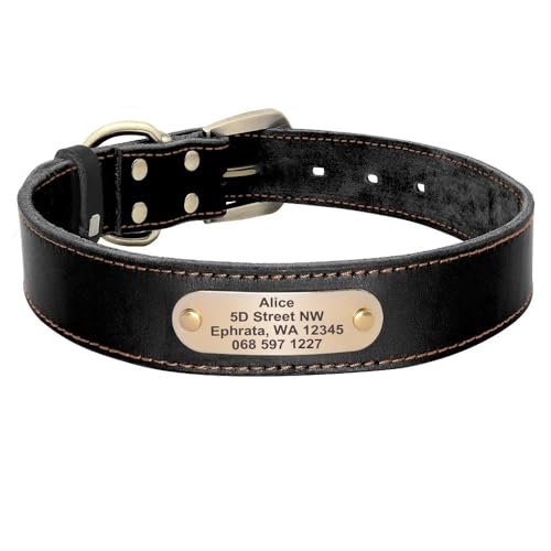 Hundehalsband aus Leder, personalisierbar, Anti-Verlust, Namensschild, Haustierhalsband für Chihuahua, Mops, Französische Bulldogge, Schwarz, XS Hundehalsband aus Leder, personalisierbar, Anti-Verlust, Namensschild, Haustierhalsband für Chihuahua, Mops, Französische Bulldogge, Schwarz, XS von GKRB