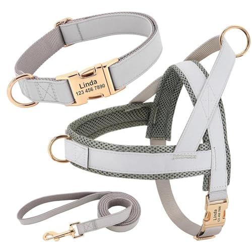 Individuell Graviertes Nylon-Hundehalsband-Geschirr-Leinen-Set. Personalisiertes, Verstellbares Hundehalsband-Geschirr-Leinen-Set. Keine Zug-Haustiergeschirr-Weste Für Yorkshire Chihuahua,Gr von GKRB