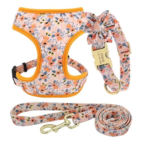 Maßgeschneidertes Hundehalsband-Geschirr-Leinen-Set. Personalisiertes Hundehalsband-Geschirr-Leinen-Set. Verstellbares Nylon-Hundegeschirr, Anti-Verlust-Haustiergeschirr-Leinen-Set,A,S Maßgeschneidertes Hundehalsband-Geschirr-Leinen-Set. Personalisiertes Hundehalsband-Geschirr-Leinen-Set. Verstellbares Nylon-Hundegeschirr, Anti-Verlust-Haustiergeschirr-Leinen-Set,A,S von GKRB