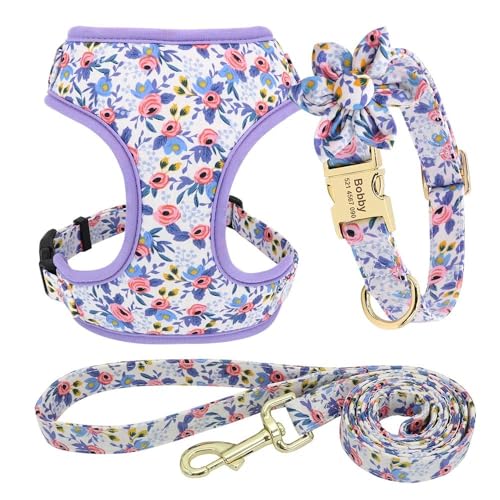 Maßgeschneidertes Hundehalsband-Geschirr-Leinen-Set. Personalisiertes Hundehalsband-Geschirr-Leinen-Set. Verstellbares Nylon-Hundegeschirr, Anti-Verlust-Haustiergeschirr-Leinen-Set,C,XS Maßgeschneidertes Hundehalsband-Geschirr-Leinen-Set. Personalisiertes Hundehalsband-Geschirr-Leinen-Set. Verstellbares Nylon-Hundegeschirr, Anti-Verlust-Haustiergeschirr-Leinen-Set,C,XS von GKRB