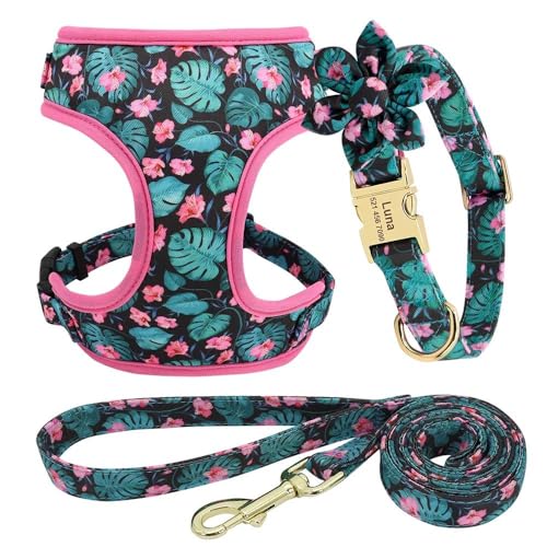 Maßgeschneidertes Hundehalsband-Geschirr-Leinen-Set. Personalisiertes Hundehalsband-Geschirr-Leinen-Set. Verstellbares Nylon-Hundegeschirr, Anti-Verlust-Haustiergeschirr-Leinen-Set,D,M Maßgeschneidertes Hundehalsband-Geschirr-Leinen-Set. Personalisiertes Hundehalsband-Geschirr-Leinen-Set. Verstellbares Nylon-Hundegeschirr, Anti-Verlust-Haustiergeschirr-Leinen-Set,D,M von GKRB