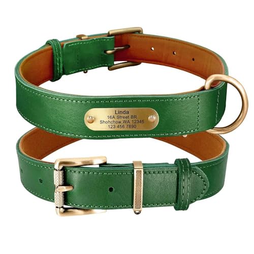 Personalisiertes Hundehalsband, verstellbar, Anti-Verlust, PU-Leder, ID-Tag, Hundehalsband für Mops, Chihuahua, Französische Bulldogge, Grün, Größe M Personalisiertes Hundehalsband, verstellbar, Anti-Verlust, PU-Leder, ID-Tag, Hundehalsband für Mops, Chihuahua, Französische Bulldogge, Grün, Größe M von GKRB