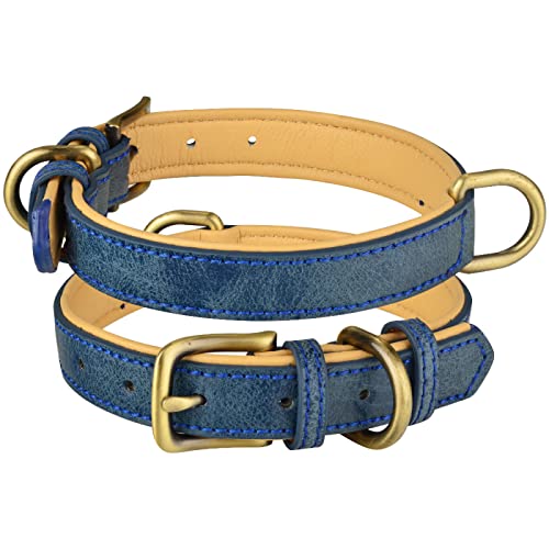 Verstellbares Doppel-D-Ring-Hundehalsband, PU-Leder, Hundehalsband, kleine, mittelgroße und große Hunde, französische Bulldogge, Chihuahua, Mops-Halsband, blau, M 29–38 cm Verstellbares Doppel-D-Ring-Hundehalsband, PU-Leder, Hundehalsband, kleine, mittelgroße und große Hunde, französische Bulldogge, Chihuahua, Mops-Halsband, blau, M 29–38 cm von GKRB