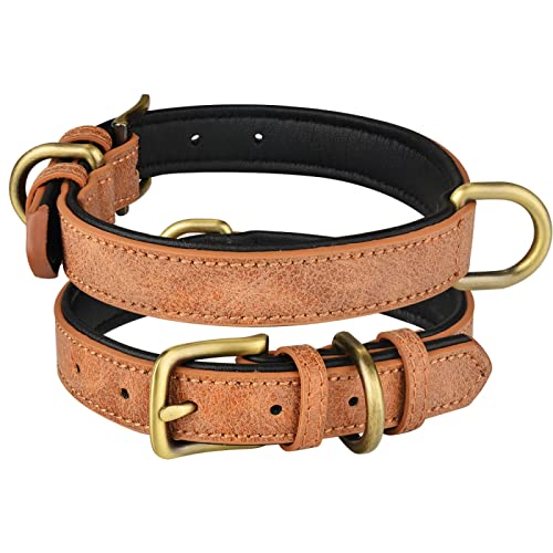 Verstellbares Doppel-D-Ring-Hundehalsband, PU-Leder, Hundehalsband, kleine, mittelgroße und große Hunde, französische Bulldogge, Chihuahua, Mops-Halsband, braun, M 29-38 cm von GKRB