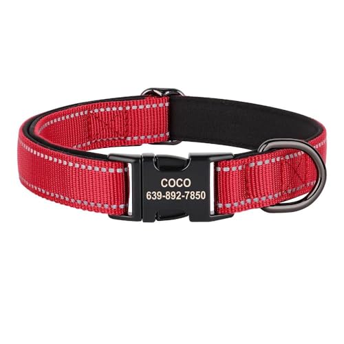 Verstellbares Hundehalsband, personalisierbar, reflektierend, für den Außenbereich, für Pitbull, Mops, Französische Bulldogge, Labrador, C, S von GKRB