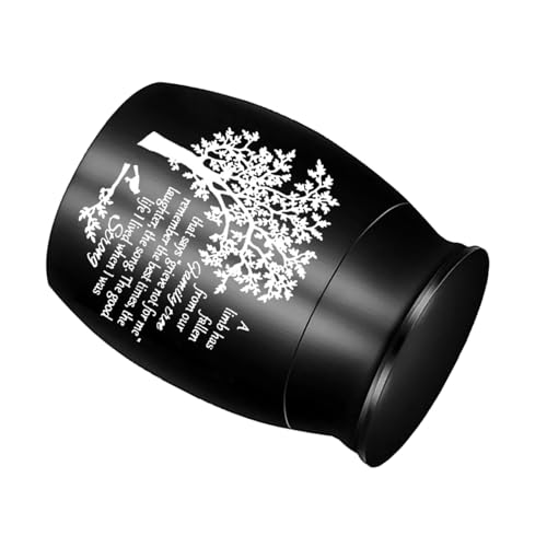 GKYQVE Einfache Asche Urne Gedenkschmuck Schmuck Cremation Box Metal Jar Cremation Juwely Urne Sarg Für Asche Tragbares Haustier von GKYQVE