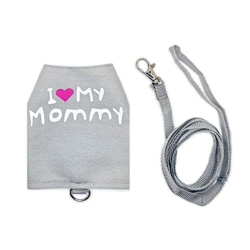 GKYQVE Noctilucous Eidechsengurt Und Leine Set Für Kleine Tiere Freien Aktivitäten Reptilien Walking Gear Gurte Weste Anzug Bart Drache Walking Leine von GKYQVE