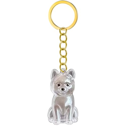 GKYQVE Pet Memorial Schlüsselbund Leicht Gewichtet Für Tragen Von Hunden Haar Erinnerung In Clear Case Box Clear Memorial Box Remembrance Schlüsselbund Verlust Sympathie Geschenk GKYQVE Pet Memorial Schlüsselbund Leicht Gewichtet Für Tragen Von Hunden Haar Erinnerung In Clear Case Box Clear Memorial Box Remembrance Schlüsselbund Verlust Sympathie Geschenk von GKYQVE