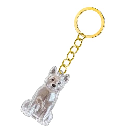 GKYQVE Pet Memorial Schlüsselbund Leicht Gewichtet Für Tragen Von Hunden Haar Erinnerung In Clear Case Box Clear Memorial Box Remembrance Schlüsselbund Verlust Sympathie Geschenk von GKYQVE