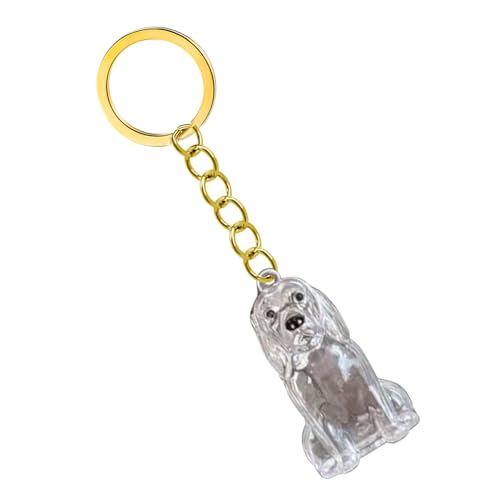 GKYQVE Pet Memorial Schlüsselbund Leicht Gewichtet Für Tragen Von Hunden Haar Erinnerung In Clear Case Box Clear Memorial Box Remembrance Schlüsselbund Verlust Sympathie Geschenk GKYQVE Pet Memorial Schlüsselbund Leicht Gewichtet Für Tragen Von Hunden Haar Erinnerung In Clear Case Box Clear Memorial Box Remembrance Schlüsselbund Verlust Sympathie Geschenk von GKYQVE