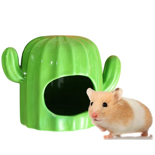 GKYZBB Hamsterversteck aus Keramik, Grüne Kaktusform, Hamsterhaus und Lebensräume, kühles Bett, ideal für alle Jahreszeiten, Zwergrennmäuse, goldener Bär GKYZBB Hamsterversteck aus Keramik, Grüne Kaktusform, Hamsterhaus und Lebensräume, kühles Bett, ideal für alle Jahreszeiten, Zwergrennmäuse, goldener Bär von GKYZBB