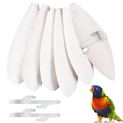 GKZB Sepiaschalen 11-13cm, 6 Stück, für Reptilien, Vögel, Amphibien und Nager, Knochengesundheit, Panzeraufbau, Schnabelpflege, Tierhalter, Sepiaschale, PET_FOOD von GKZB
