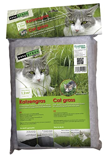 GLAESER easygreen - Katzengras 1,20 m² | Katzen Magenreinigung | Nahrungsergänzungsmittel für Katzen | Besonders geeignet für Hauskatzen | Hilft beim Haarballen von GLAESER