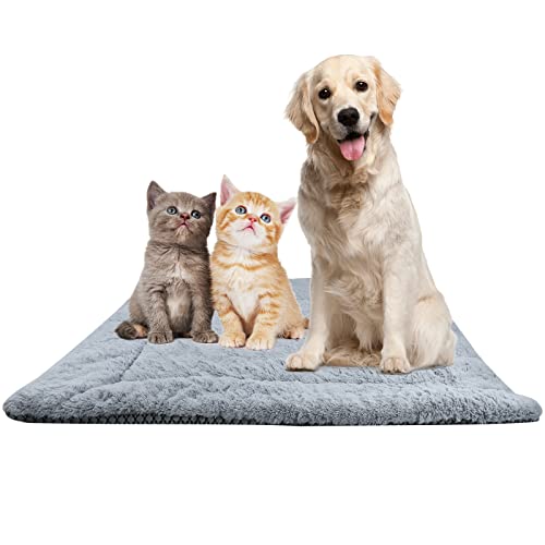 GLAITC Hundematte Weiche Katzenbett Wärme Hundematte Liegedecke für Hunde und Katzen Sofa Hundebett Abwaschbar für Hunde und Katzen Sofa Groß/Mittel/Klein,Matratzenzubehör für Heimtiere L GLAITC Hundematte Weiche Katzenbett Wärme Hundematte Liegedecke für Hunde und Katzen Sofa Hundebett Abwaschbar für Hunde und Katzen Sofa Groß/Mittel/Klein,Matratzenzubehör für Heimtiere L von GLAITC