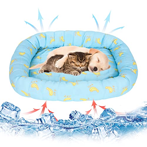 GLAITC Kühlmatte Katze, 45x50cm Kühlmatte Hund Dog Geeignet Kühlmatte Hunde Kühlmatte Selbstkühlend Hunde KühlmatteKühlmatte für Katzen für Haustiere Innen Outdoor (Blau) von GLAITC