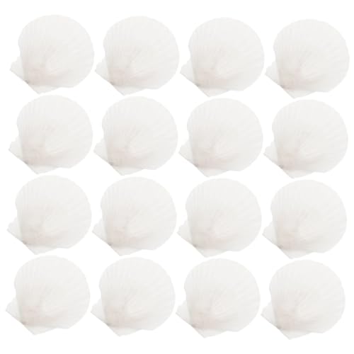 GLEAVI 16stücke Große Scallop Muscheln Für Basteln Naturmuscheln Zum Selbermachen Jakobsmuscheln Für Heimwerkerbedarf Und Dekoration von GLEAVI