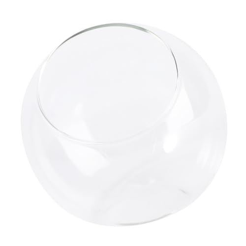 GLEAVI 1Stück Mini Glasflasche für DIY Terrarium Langlebig für Mikrolandschaften Bürodekoration und Kreative Transparentes Design für Pflanzen von GLEAVI