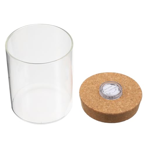 GLEAVI 1Stück Mini Ökologische Glasflasche aus Borosilikatglas mit LED Licht Zylindrische Flasche für DIY Mikrolandschaft und Pflanzenarrangements für Raumdekoration und Kreative von GLEAVI