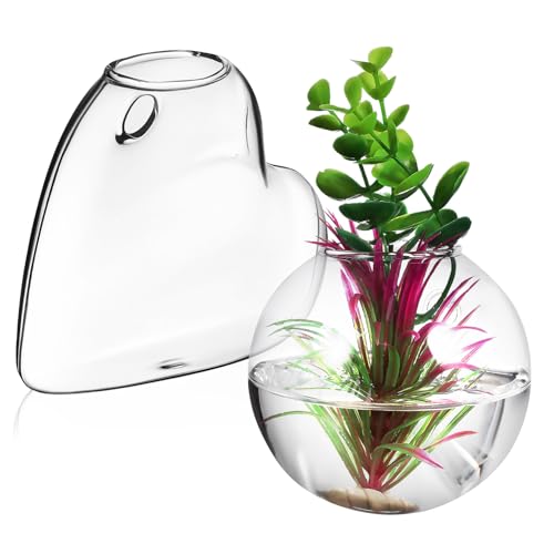 GLEAVI 2 Stück Hängende Pflanzenstation Teiliges Borosilikatglas Wandpflanzer für Wasserpflanzen Dekorative Terrarium Vase Installieren mit Montagematerial für Zuhause GLEAVI 2 Stück Hängende Pflanzenstation Teiliges Borosilikatglas Wandpflanzer für Wasserpflanzen Dekorative Terrarium Vase Installieren mit Montagematerial für Zuhause von GLEAVI