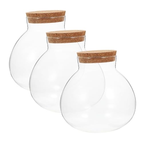 GLEAVI 3 Stück Terrarium mit Korkverschluss Versiegelte Mikrolandschaftsflasche Pflanzen und DIY Projekte von GLEAVI