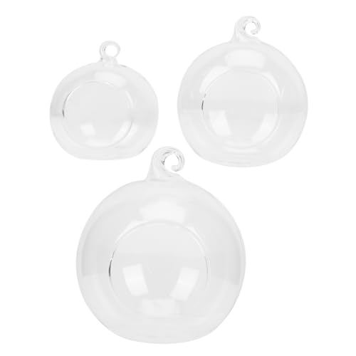 GLEAVI 3Stücke Hängende Terrarium Behälter DIY Mikrolandschaft Flasche für Kreative Innen und Außendekoration Durchsichtige Pflanzenflasche mit Hochwertiger Oberfläche von GLEAVI
